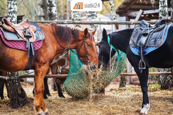 Częstochowa Worek na siano — praktyczny i wytrzymały pasznik dla koni Sklep Częstochowa